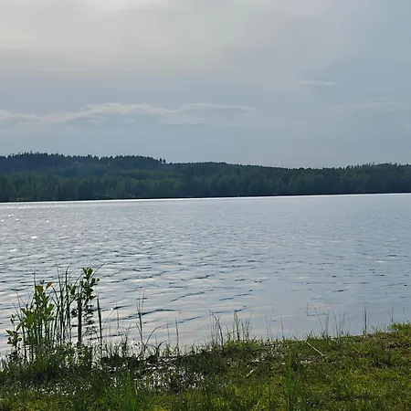 Vuohimaeki *